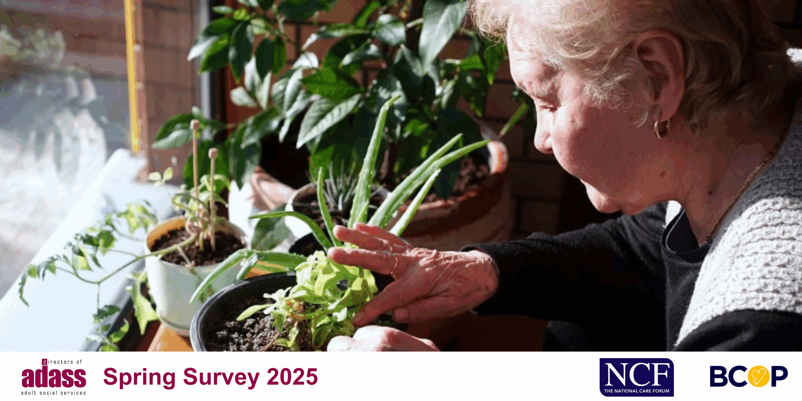 Image of older woman planting a potted plant