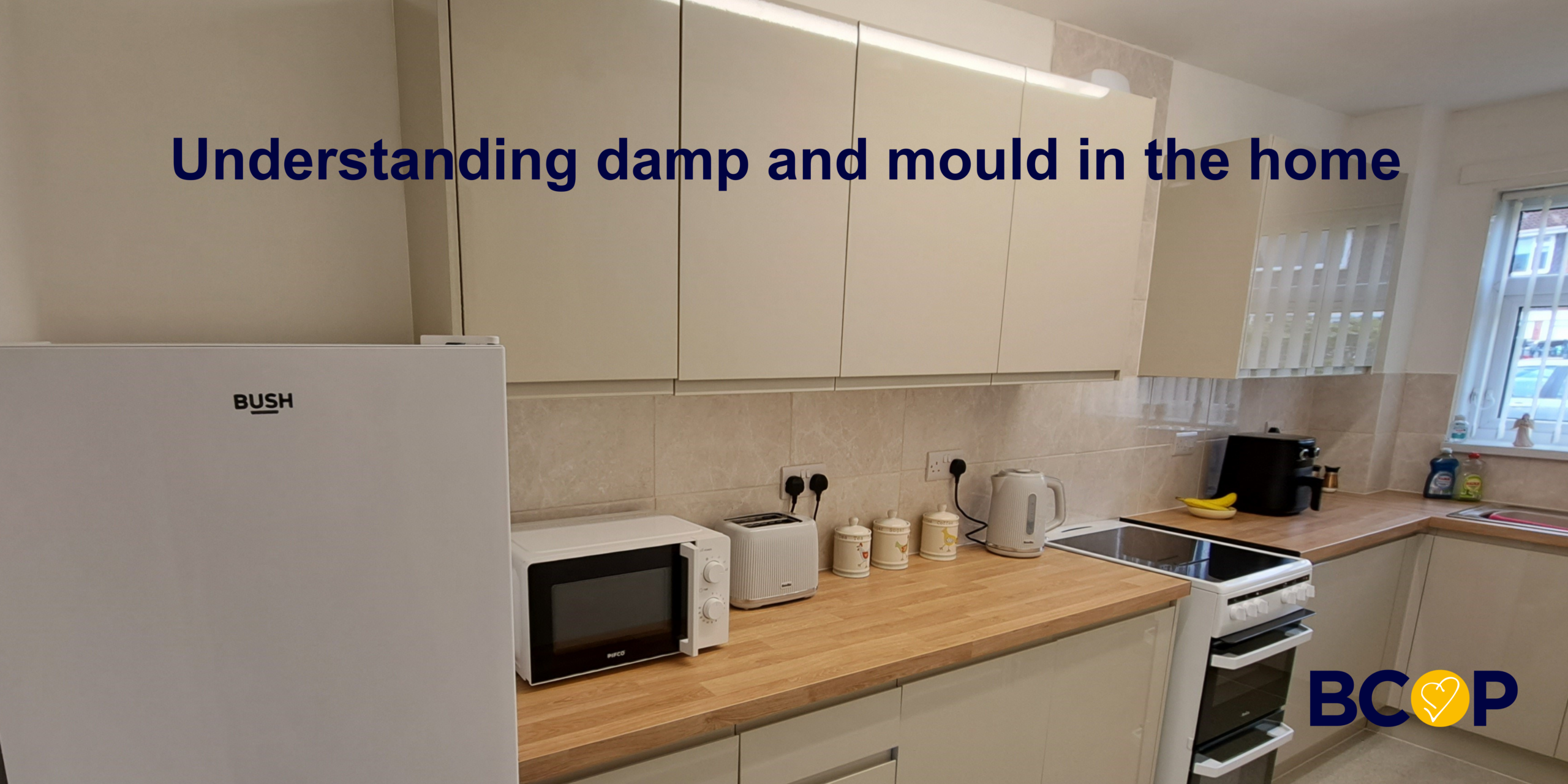 Photo of a typical kitchen in a BCOP home